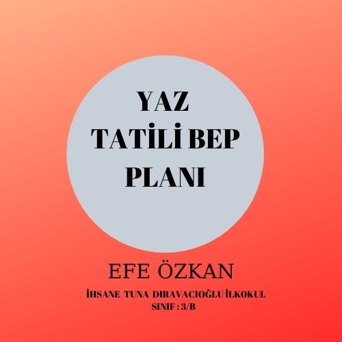 2019-2020 YAZ TATİLİ BEP PLANI by GÜLAY DÖĞER ÖZER - Ourboox.com