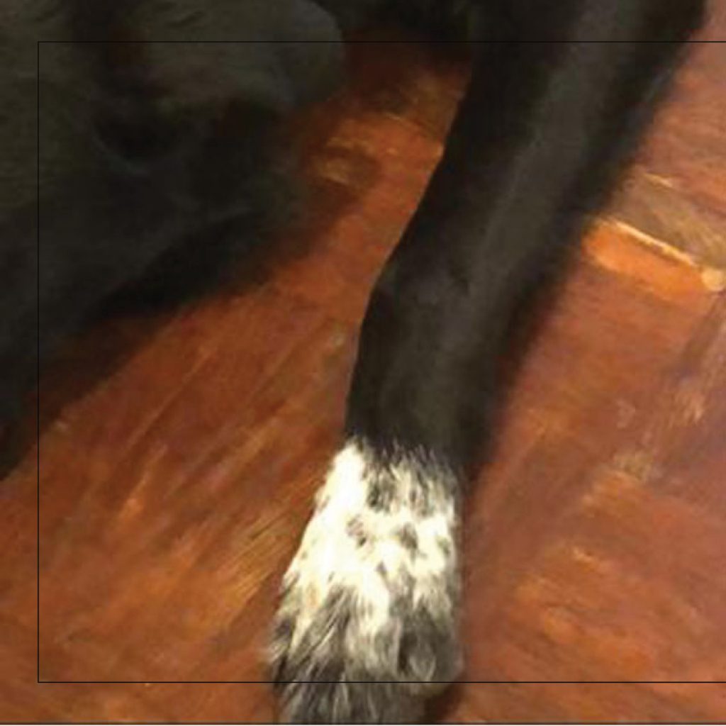 סנופי by Nomi Elboim - Illustrated by נעמי עיצובים - Ourboox.com