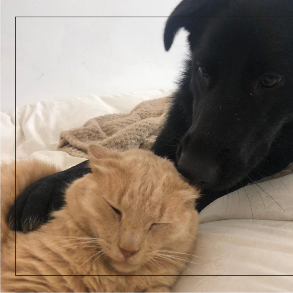 סנופי by Nomi Elboim - Illustrated by נעמי עיצובים - Ourboox.com