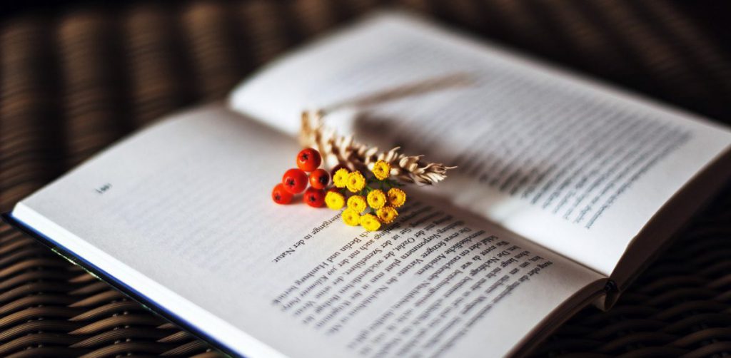 Odeljenje IT12 by Vesna - Ourboox.com