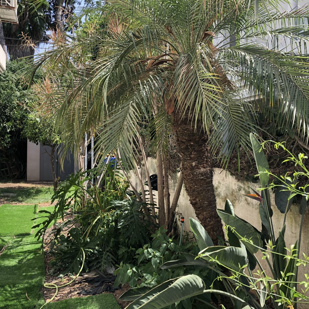 Our Happy Home in Ramat Gan by Mel Rosenberg - מל רוזנברג - Ourboox.com