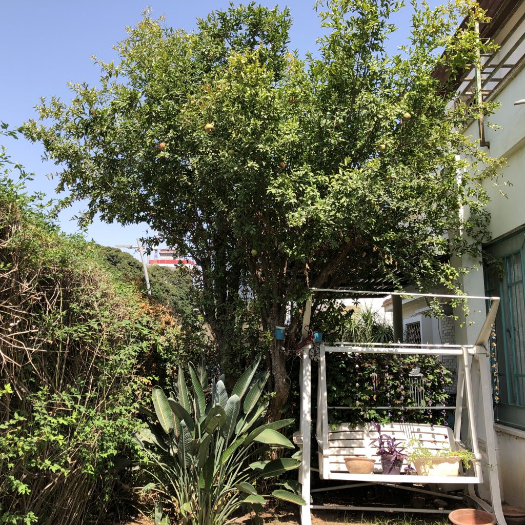 Our Happy Home in Ramat Gan by Mel Rosenberg - מל רוזנברג - Ourboox.com