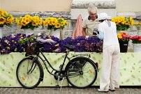 Відтінки Душі, або Сторінки щоденника by oksana - Ourboox.com