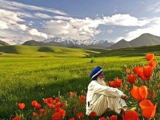 Відтінки Душі, або Сторінки щоденника by oksana - Ourboox.com