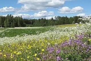 Відтінки Душі, або Сторінки щоденника by oksana - Ourboox.com