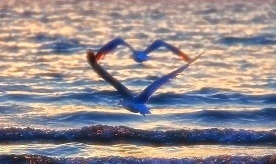 Відтінки Душі, або Сторінки щоденника by oksana - Ourboox.com