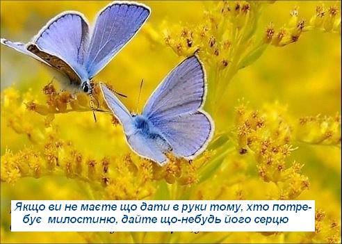 Відтінки Душі, або Сторінки щоденника by oksana - Ourboox.com