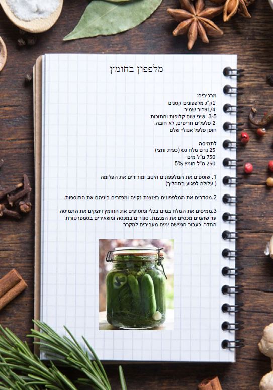 חוברת חמוצים by Mika Ben Arzi - Ourboox.com