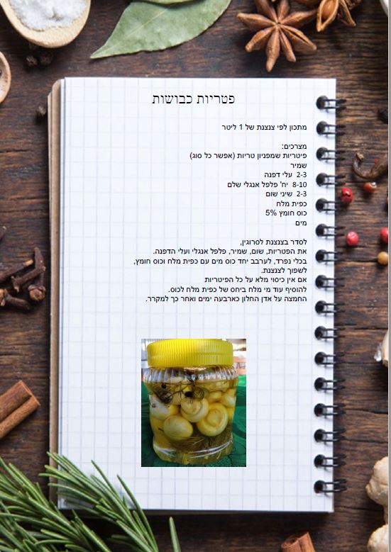 חוברת חמוצים by Mika Ben Arzi - Ourboox.com