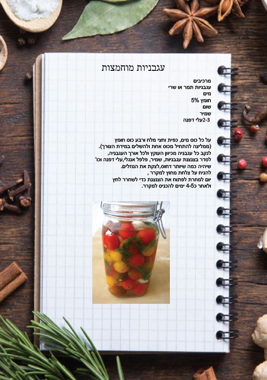 חוברת חמוצים by Mika Ben Arzi - Ourboox.com