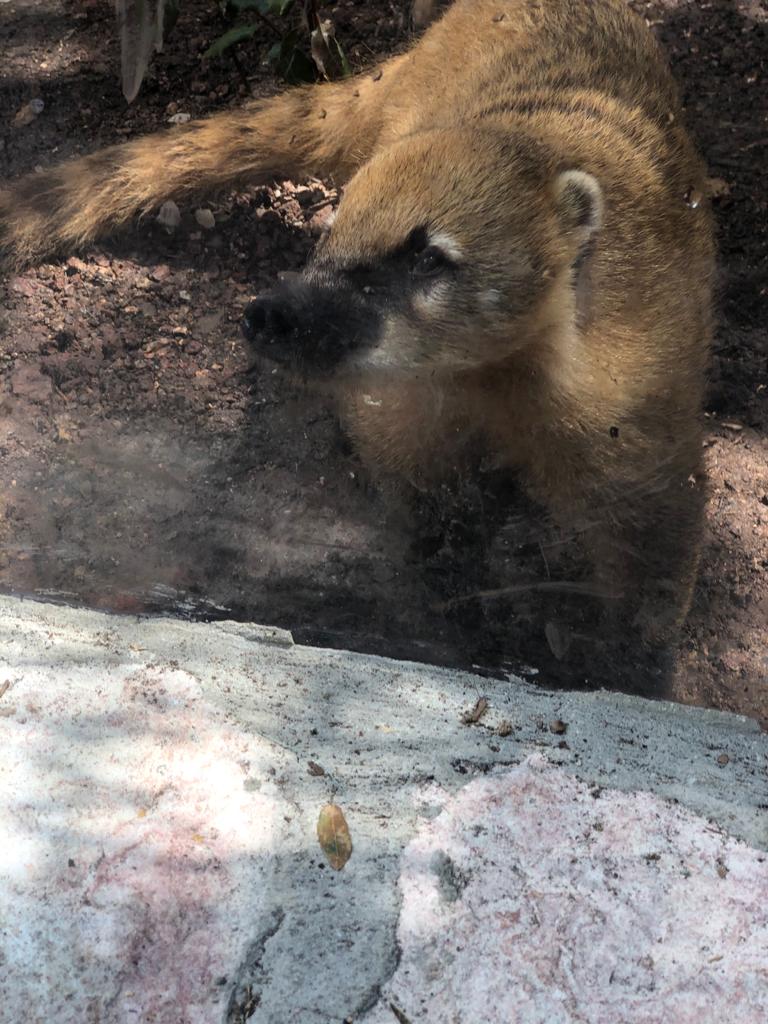 my beautiful family by faihaa branse - Ourboox.com