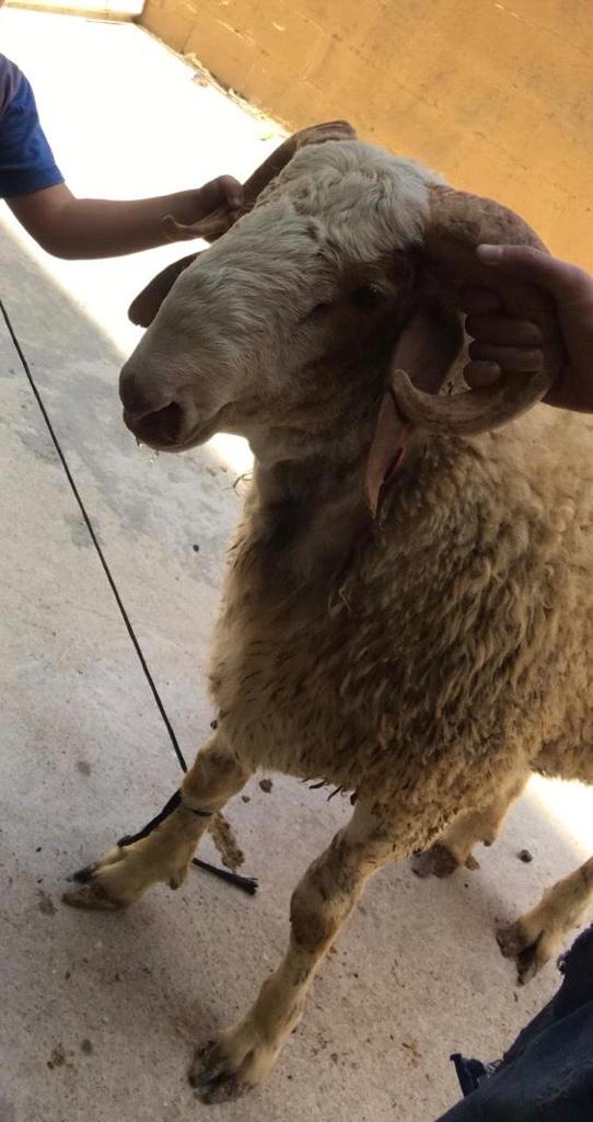 my beautiful family by faihaa branse - Ourboox.com