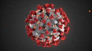 COME SI CONTRAE IL CORONAVIRUS by Ines Niboli - Ourboox.com