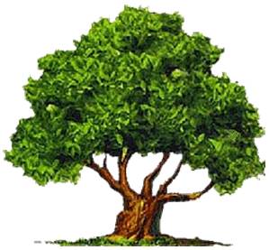 איתך ובלעדיך by iris levi - Illustrated by נכתב ונערך על ידי איריס לוי - Ourboox.com