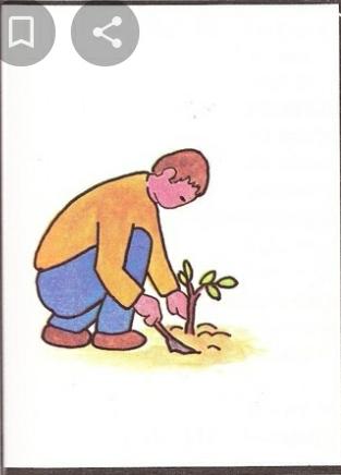 צמח חלומותיי by Safa - Ourboox.com