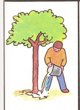 צמח חלומותיי by Safa - Ourboox.com