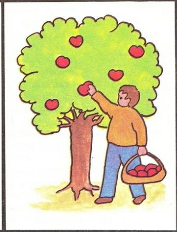 צמח חלומותיי by Safa - Ourboox.com