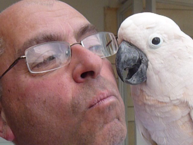 My Favorite Things by Mel Rosenberg - מל רוזנברג - Ourboox.com