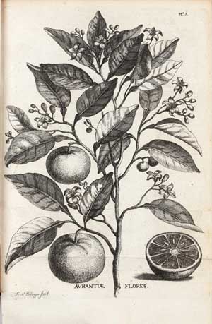 “Come un tramonto” by project Work - Ourboox.com