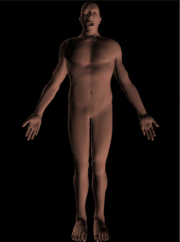 ما الأعضاء الرئيسة في جسمي؟ by Vera Hayek - Ourboox.com