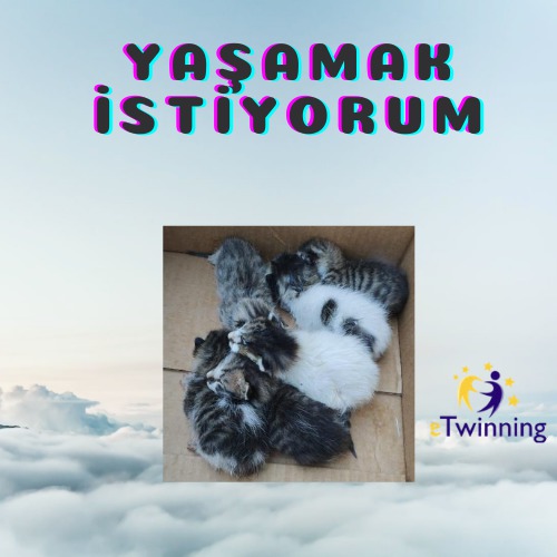 Yaşamak İstiyorum/Teacher Poster/Logo e Book by Metanet Ahmedova - Ourboox.com