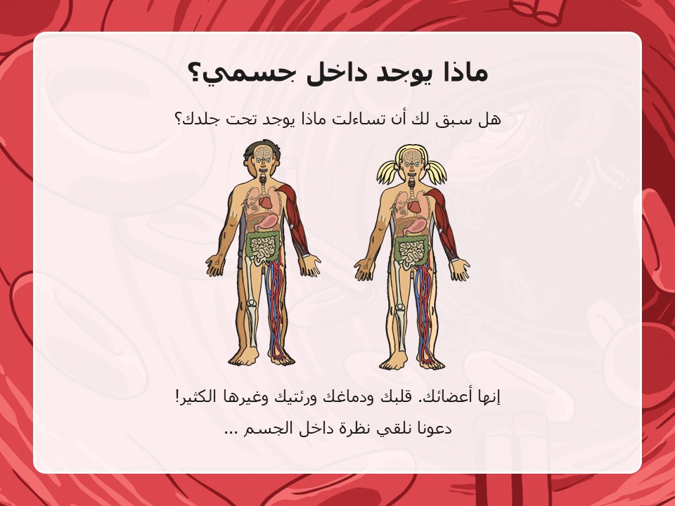 ما الأعضاء الرئيسة في جسمي؟ by Vera Hayek - Ourboox.com