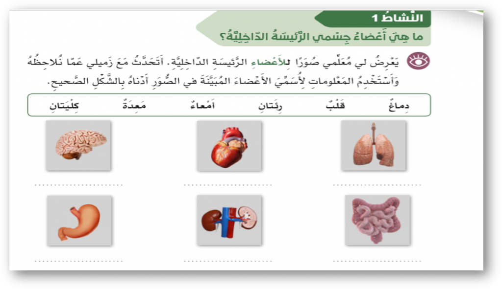 ما الأعضاء الرئيسة في جسمي؟ by Vera Hayek - Ourboox.com