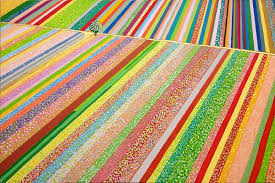 For example by Nata - Illustrated by Свитка Н. - Ourboox.com