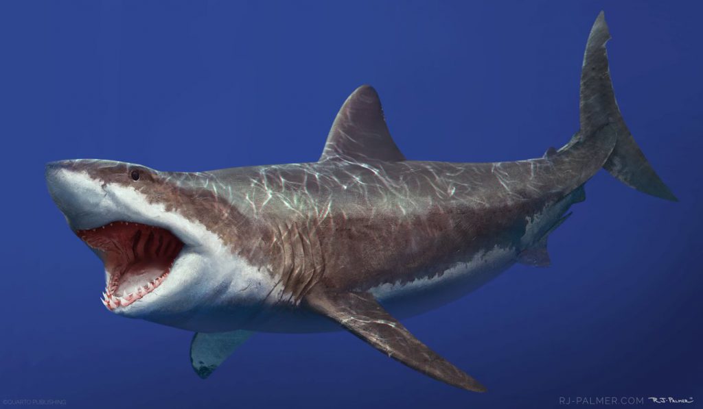 Книга за мегалодона by nikolai - Ourboox.com