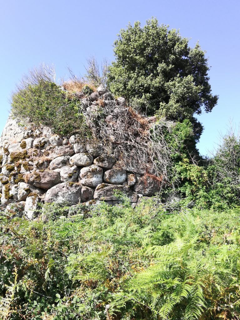 Fiabe dal Mondo by jean luc nuvoli - Illustrated by Human English  - Ourboox.com