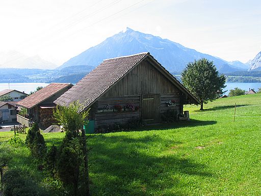 البيئة الحياتية by sehrab haji - Illustrated by سهراب حجة - Ourboox.com