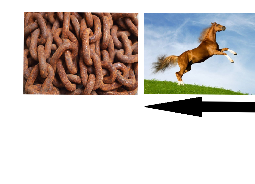 RESFEBE ÇALIŞMALARI by nimetayper - Ourboox.com