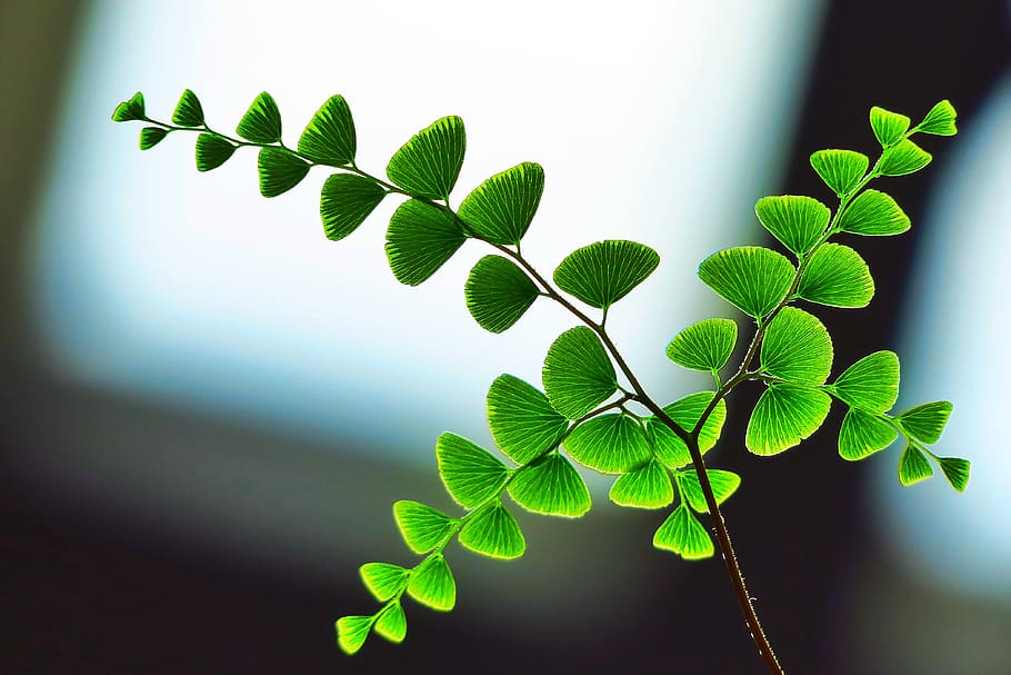 my water cycle adventure by wilkerson julian - Ourboox.com