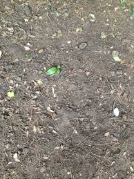 The drop of water by tanner buresh - Ourboox.com