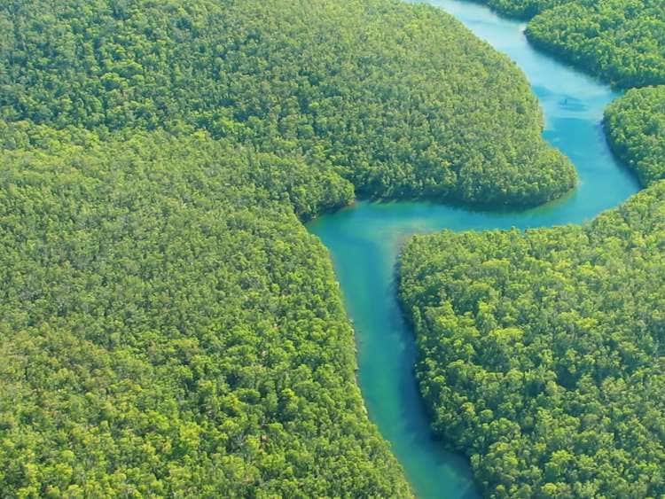 Freds day by delaney - Ourboox.com