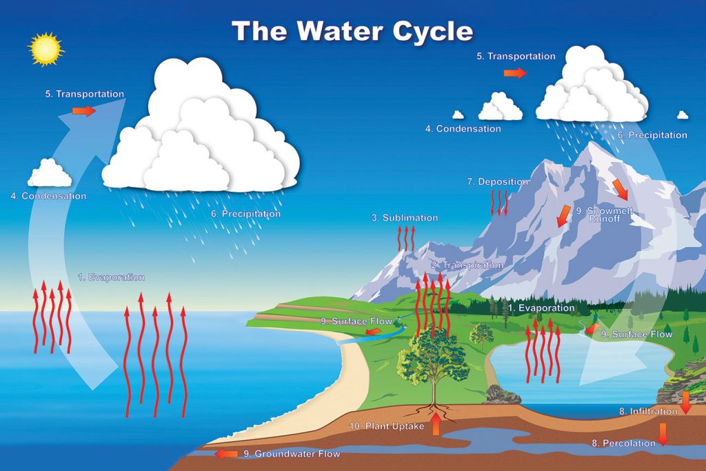 The Water Cycle! by Aubrianna Houselog - Ourboox.com