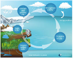 The Water Cycle! by Aubrianna Houselog - Ourboox.com