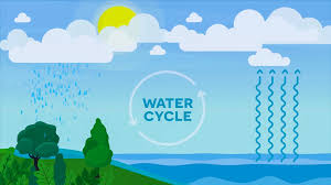 The Water Cycle! by Aubrianna Houselog - Ourboox.com