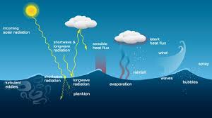 The Water Cycle! by Aubrianna Houselog - Ourboox.com