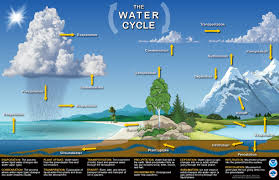 The Water Cycle! by Aubrianna Houselog - Ourboox.com