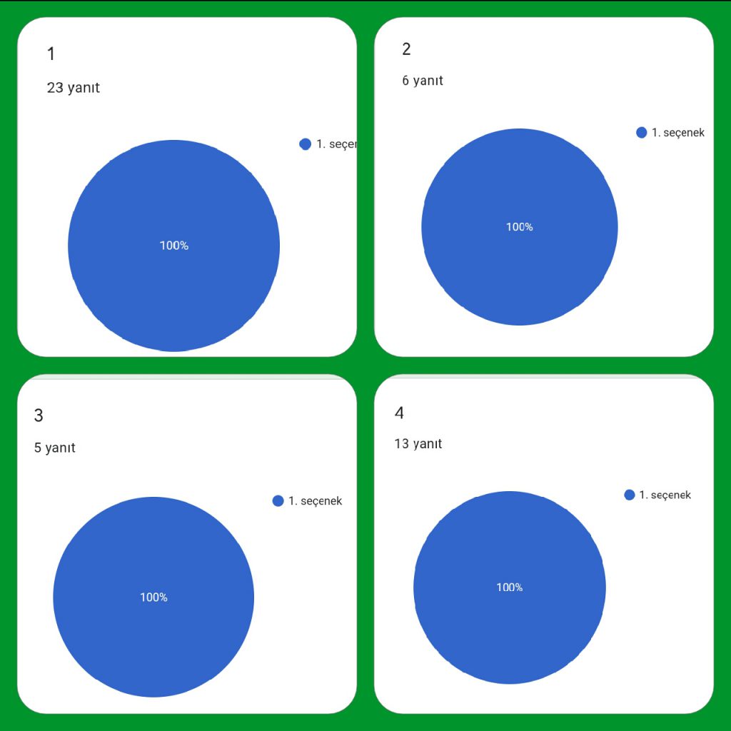 Bu Benim Projem/This İs My Project by Fatma DUMAN - Ourboox.com