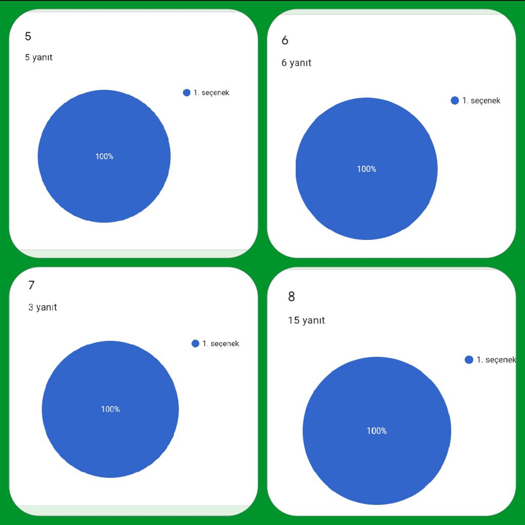Bu Benim Projem/This İs My Project by Fatma DUMAN - Ourboox.com