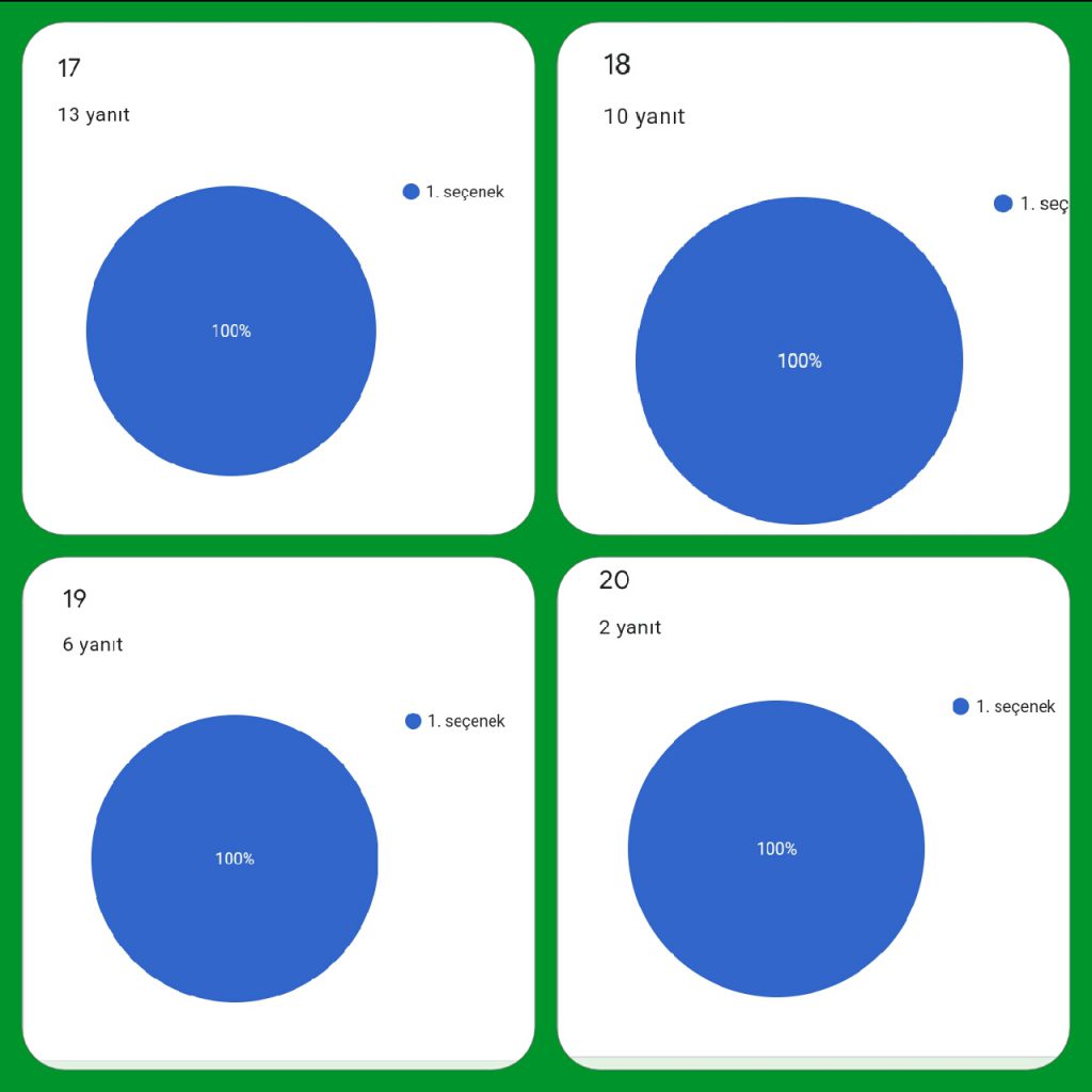 Bu Benim Projem/This İs My Project by Fatma DUMAN - Ourboox.com