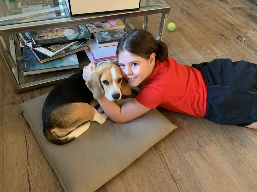 the Dovrim by Ella Shtayim - Ourboox.com