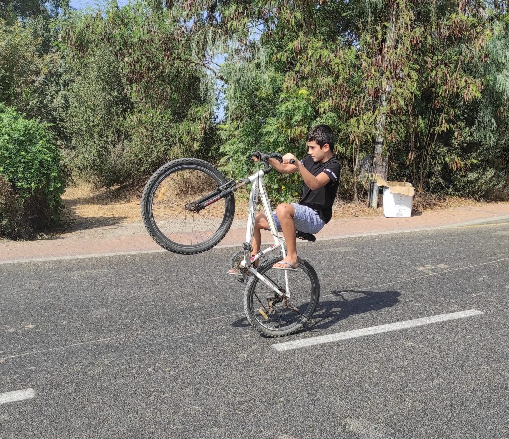 ALL ABOUT ME by idan levi - Ourboox.com