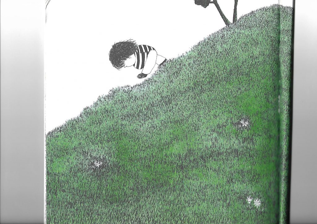 שלולי מירה מאיר by daniella - Ourboox.com