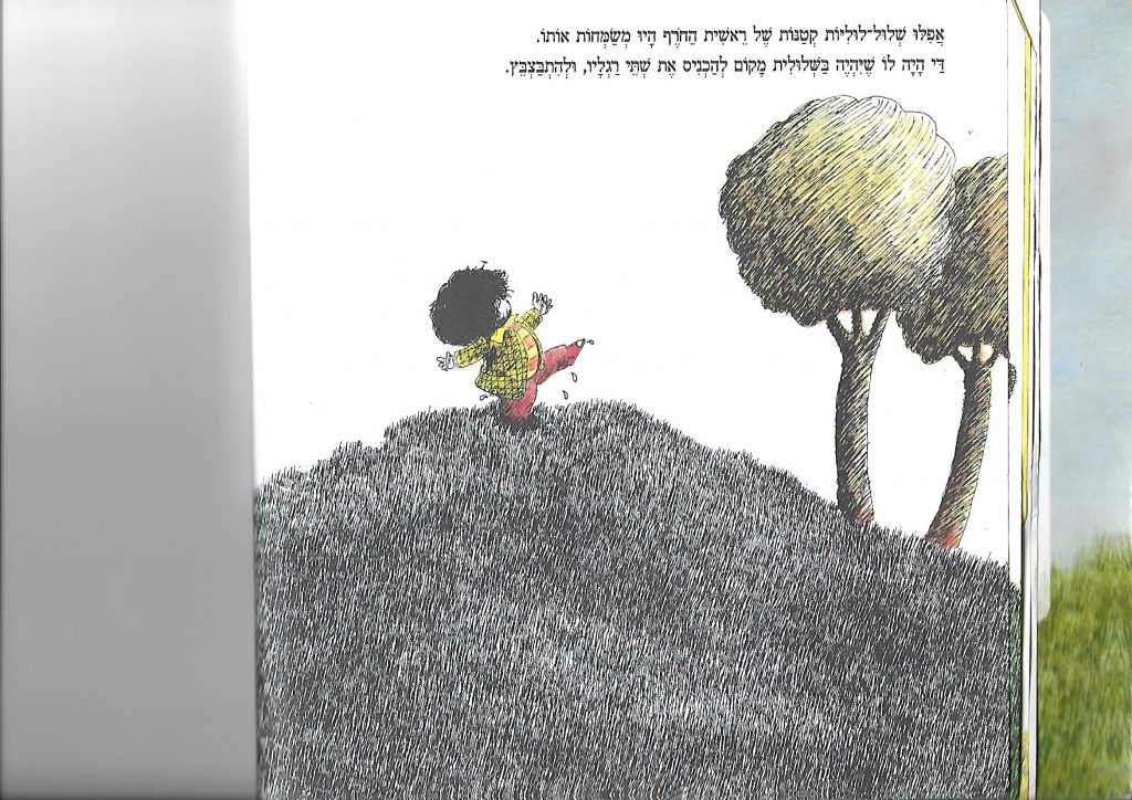 שלולי מירה מאיר by daniella - Ourboox.com