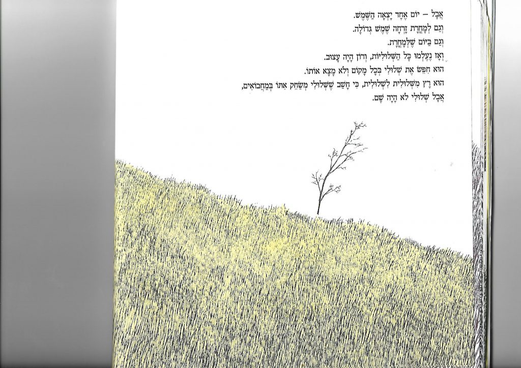 שלולי מירה מאיר by daniella - Ourboox.com