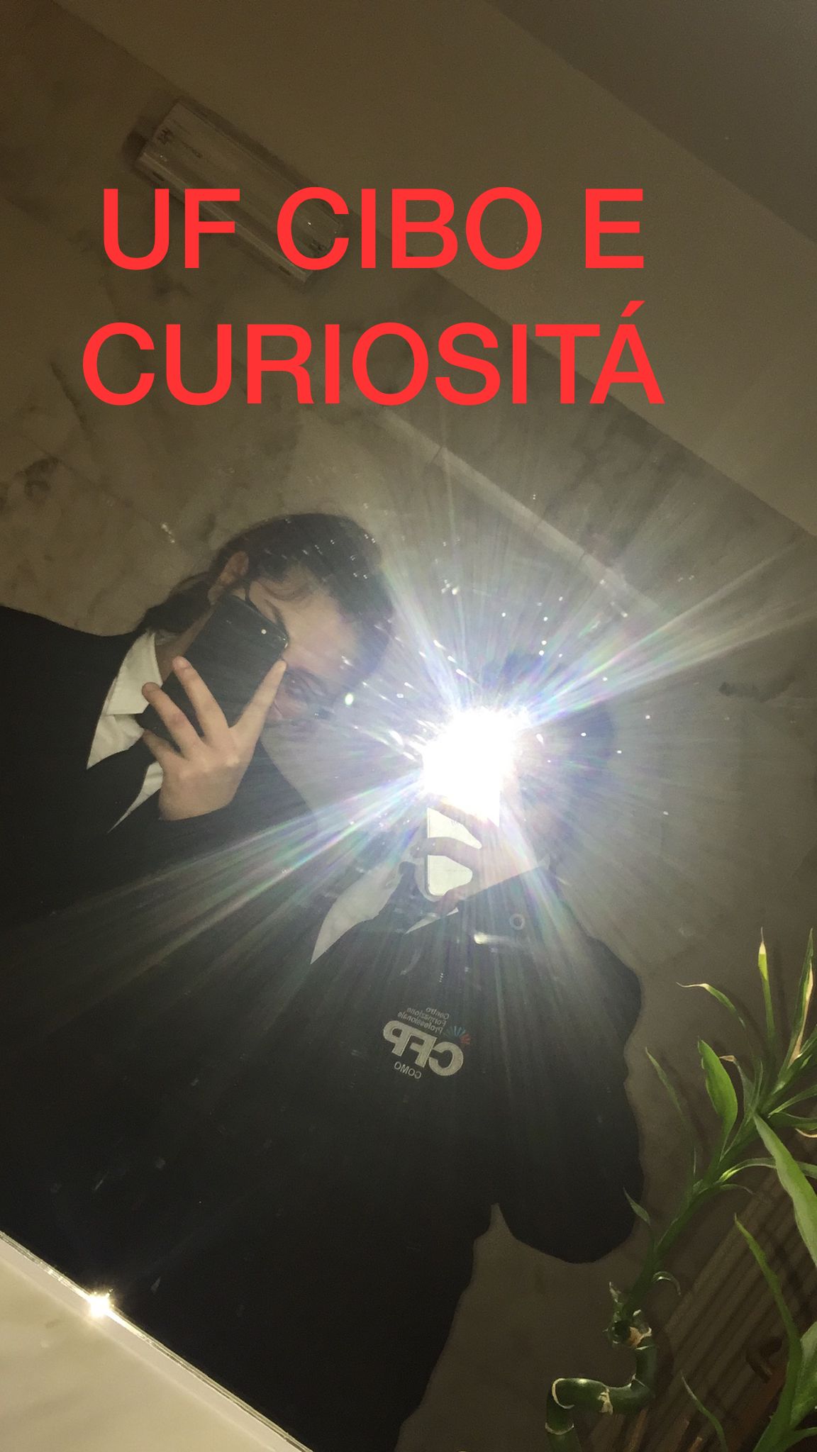 Cibi e curiosità Sonia Girola 2^D alimentazione by SONIA - Ourboox.com