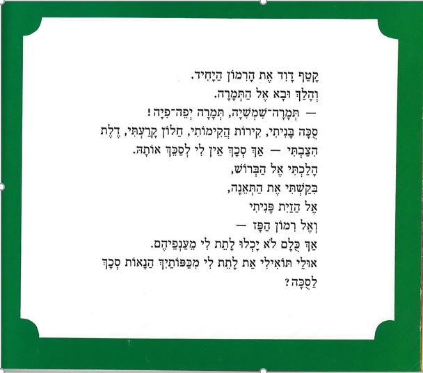 סכך לסוכה by shulamit seif - Illustrated by פזית מלר-דושי - Ourboox.com